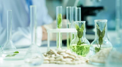 Pharmaceutical and Pesticide Industry