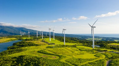 New Energy Industry