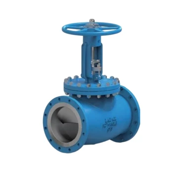 Globe Valve