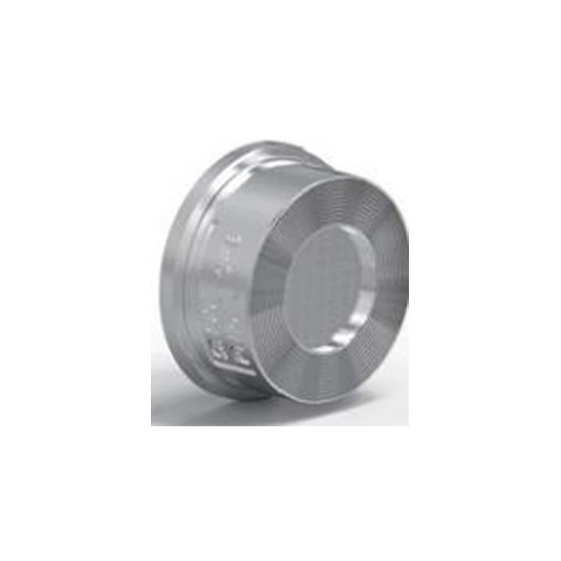 Check Valve