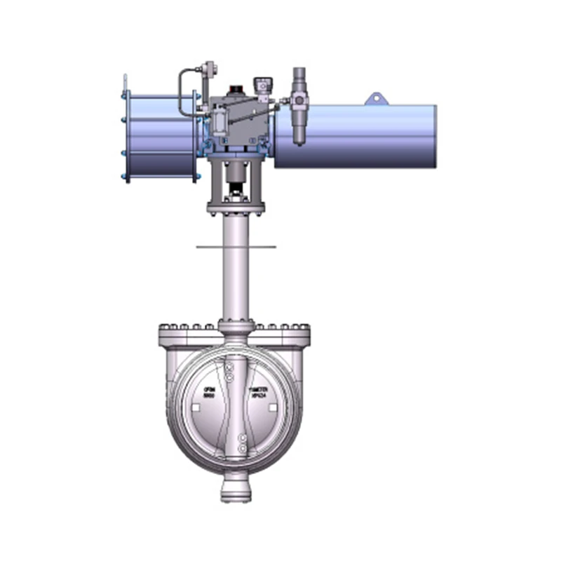 ZSHSED Side-Entry Butterfly Valve With Manhole