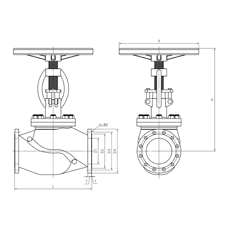 Globe Valve