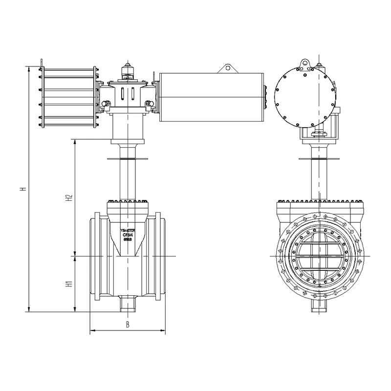 ZSHTED Top-Entry Butterfly Valve