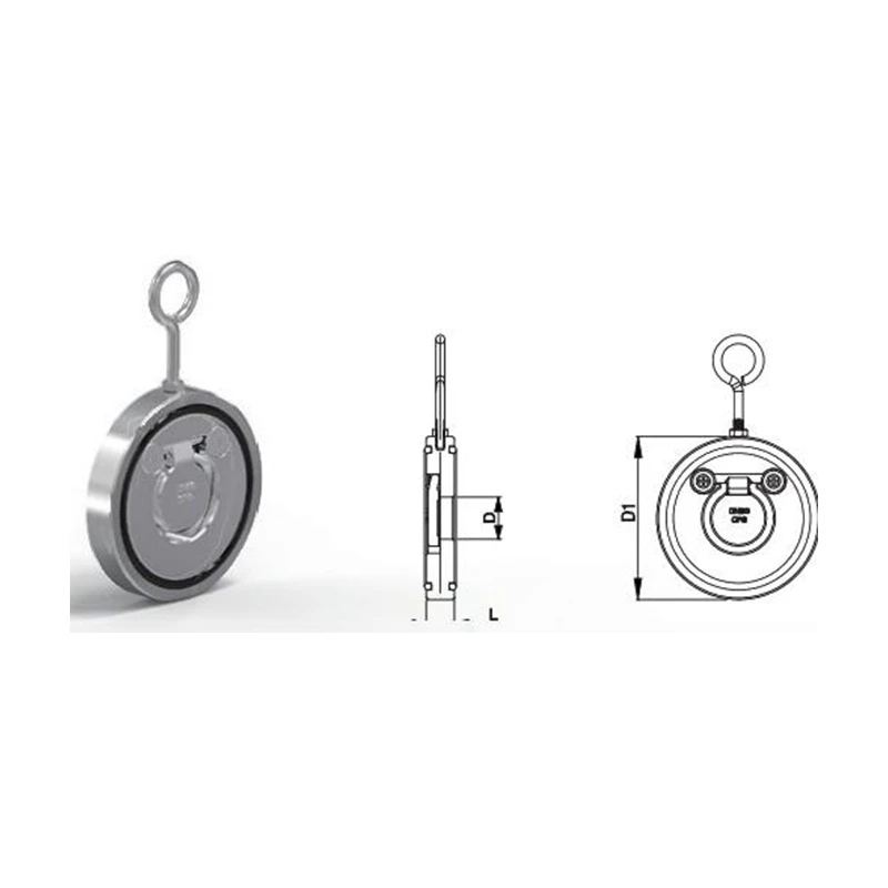Check Valve