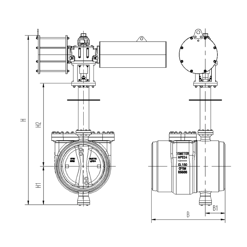 ZSHSED Side-Entry Butterfly Valve With Manhole