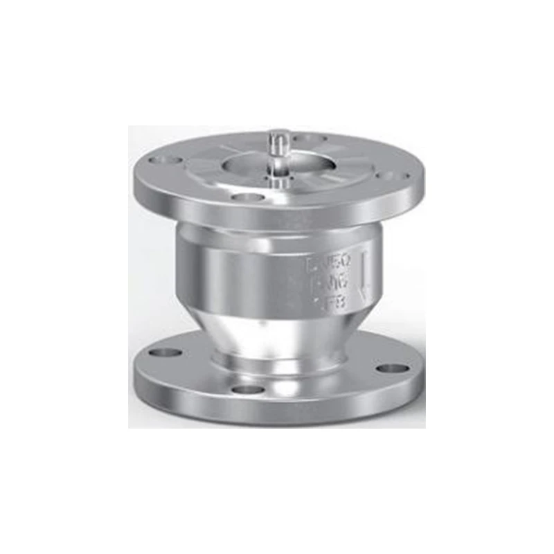 Check Valve